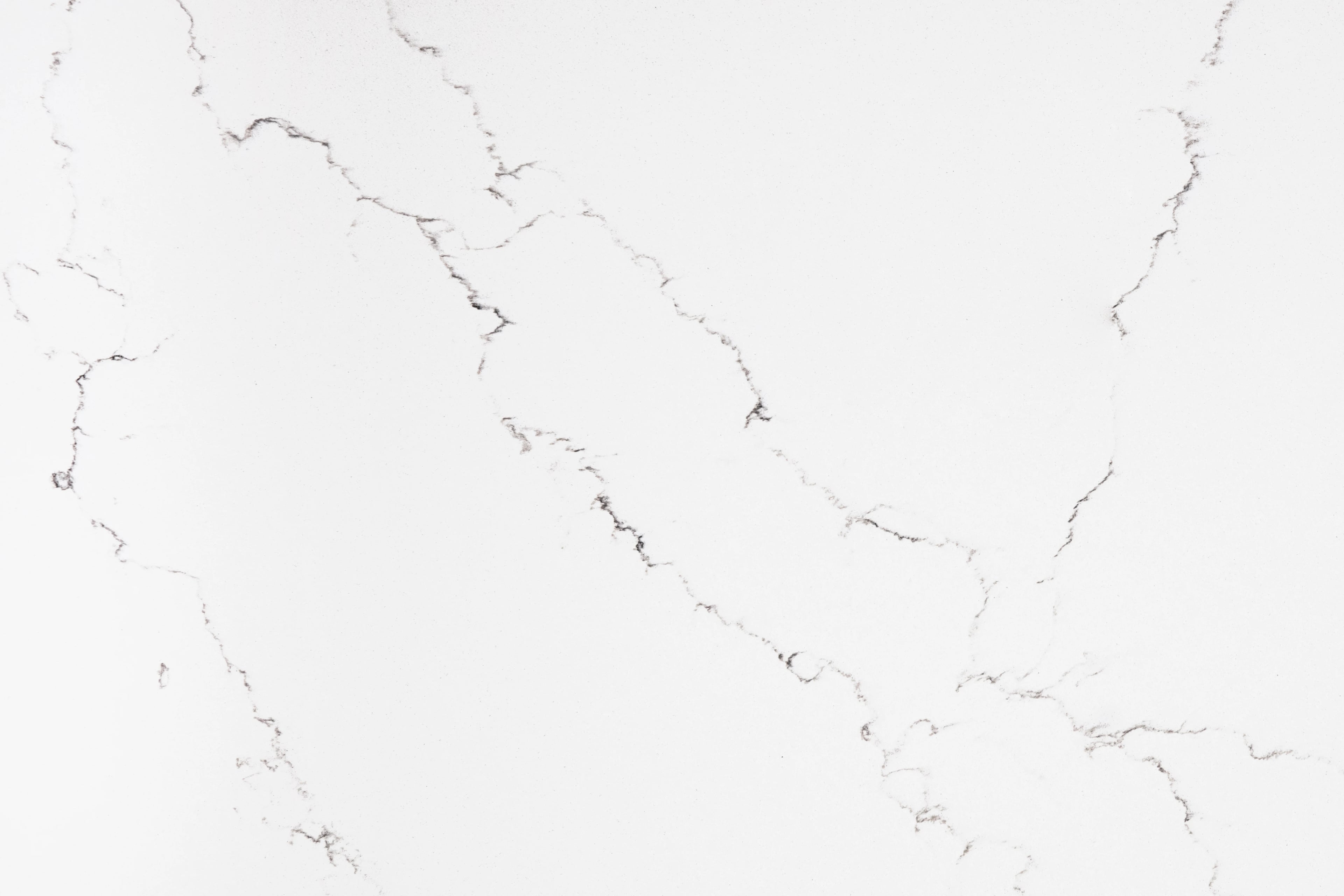 Bianco Carrara — 100% scale reference