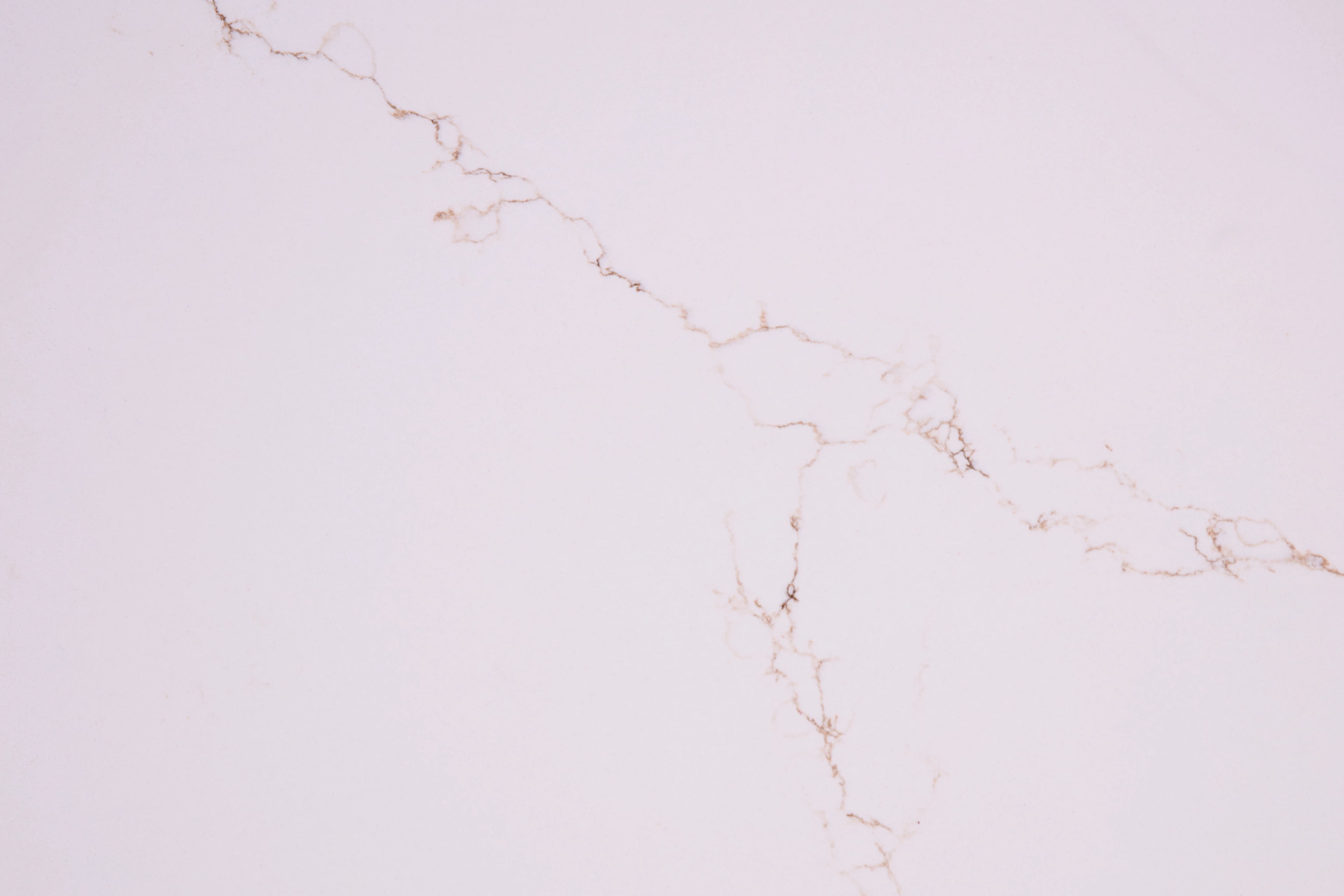 Bianco Oro — 100% scale reference