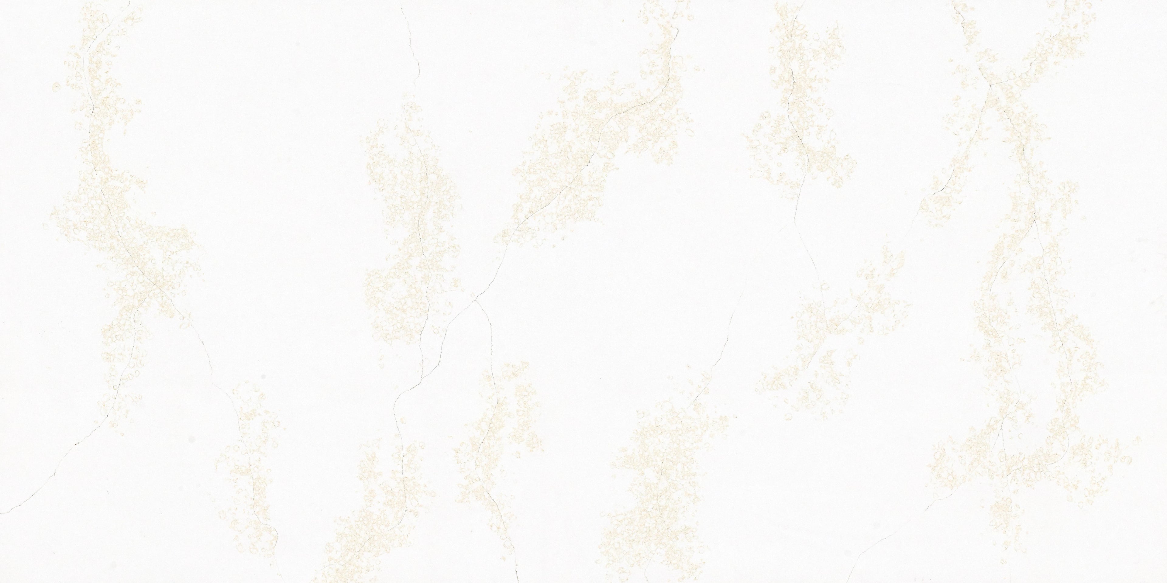 Calacatta Oro — 100% scale reference