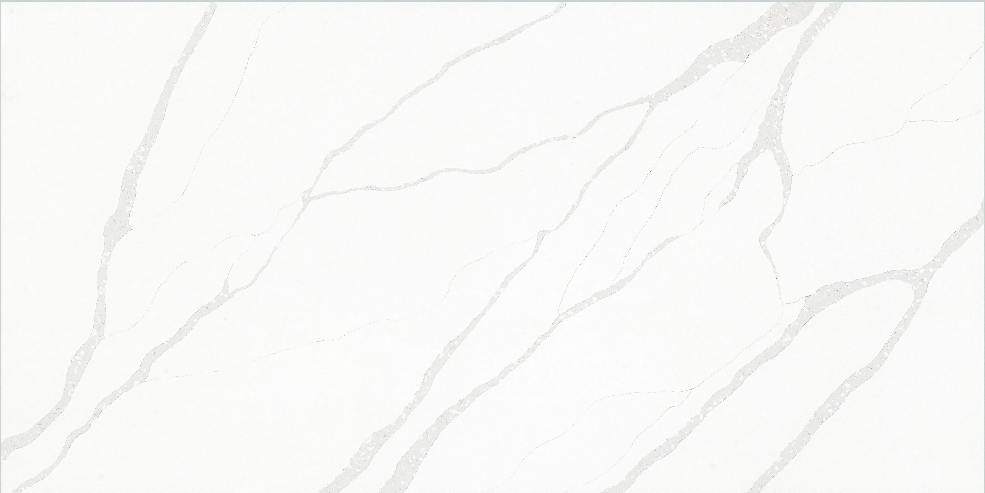 Calacatta Venag — 100% scale reference