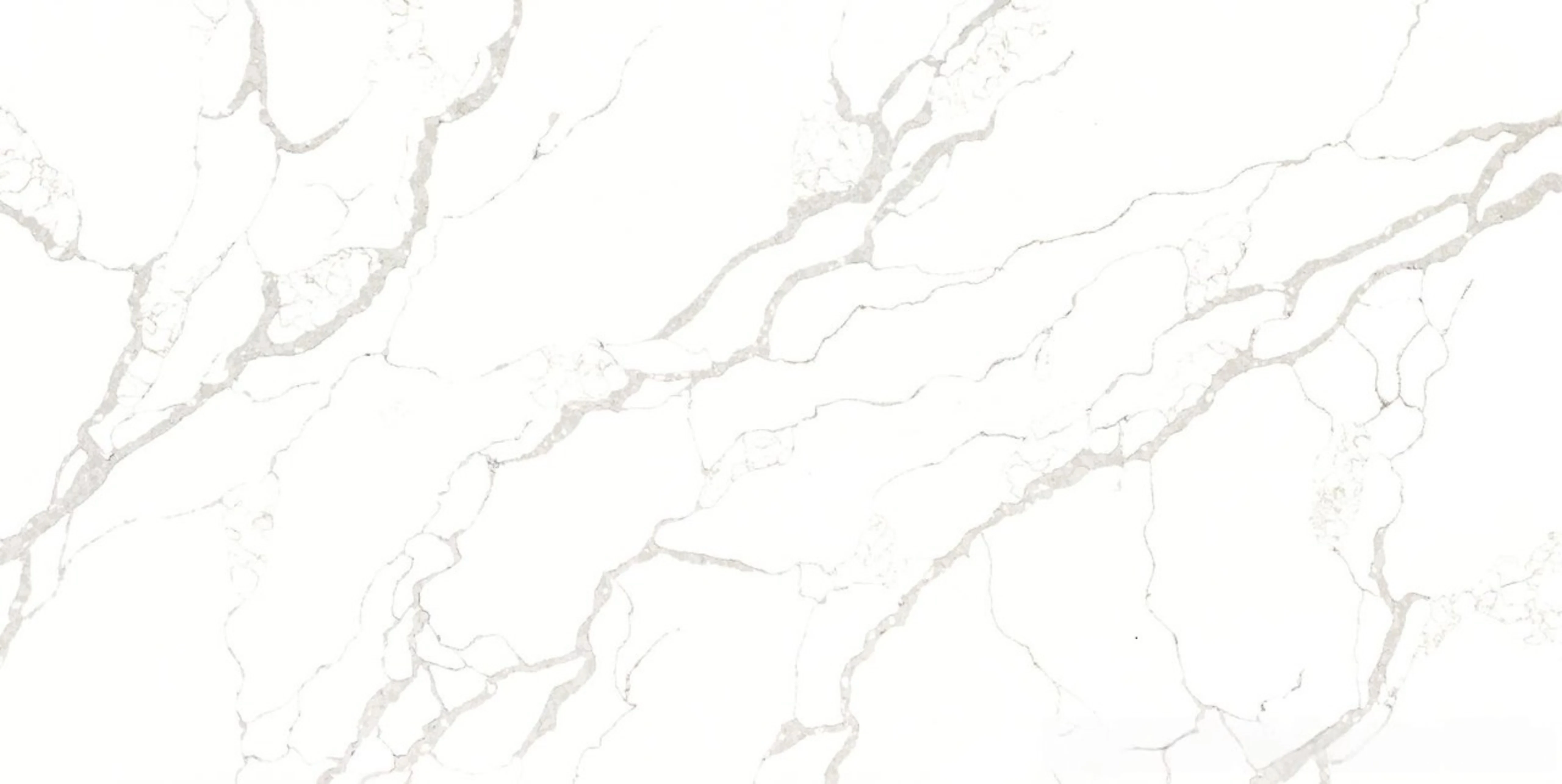 Calcutta Chic — 100% scale reference