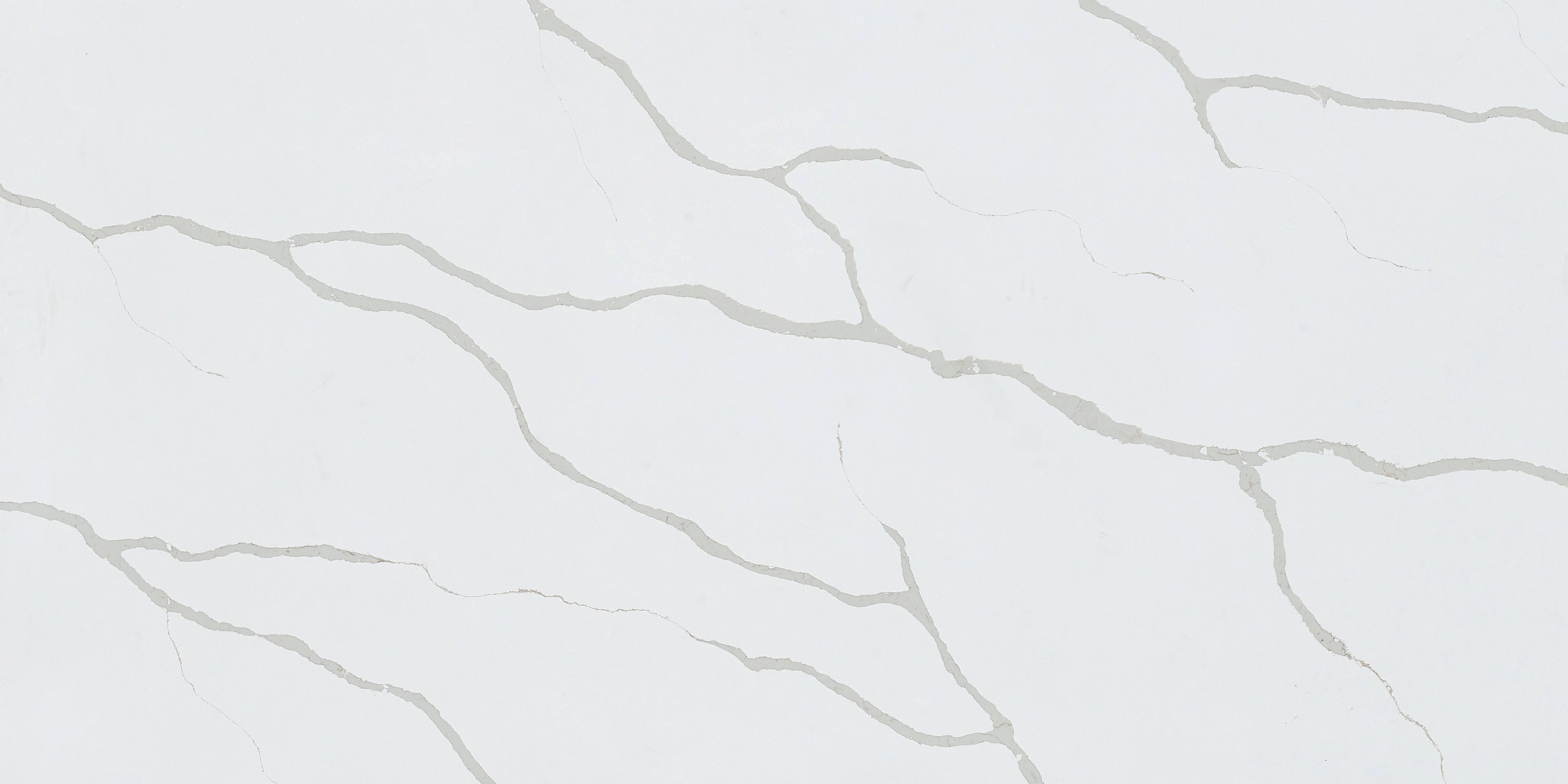 New Calcutta — 100% scale reference
