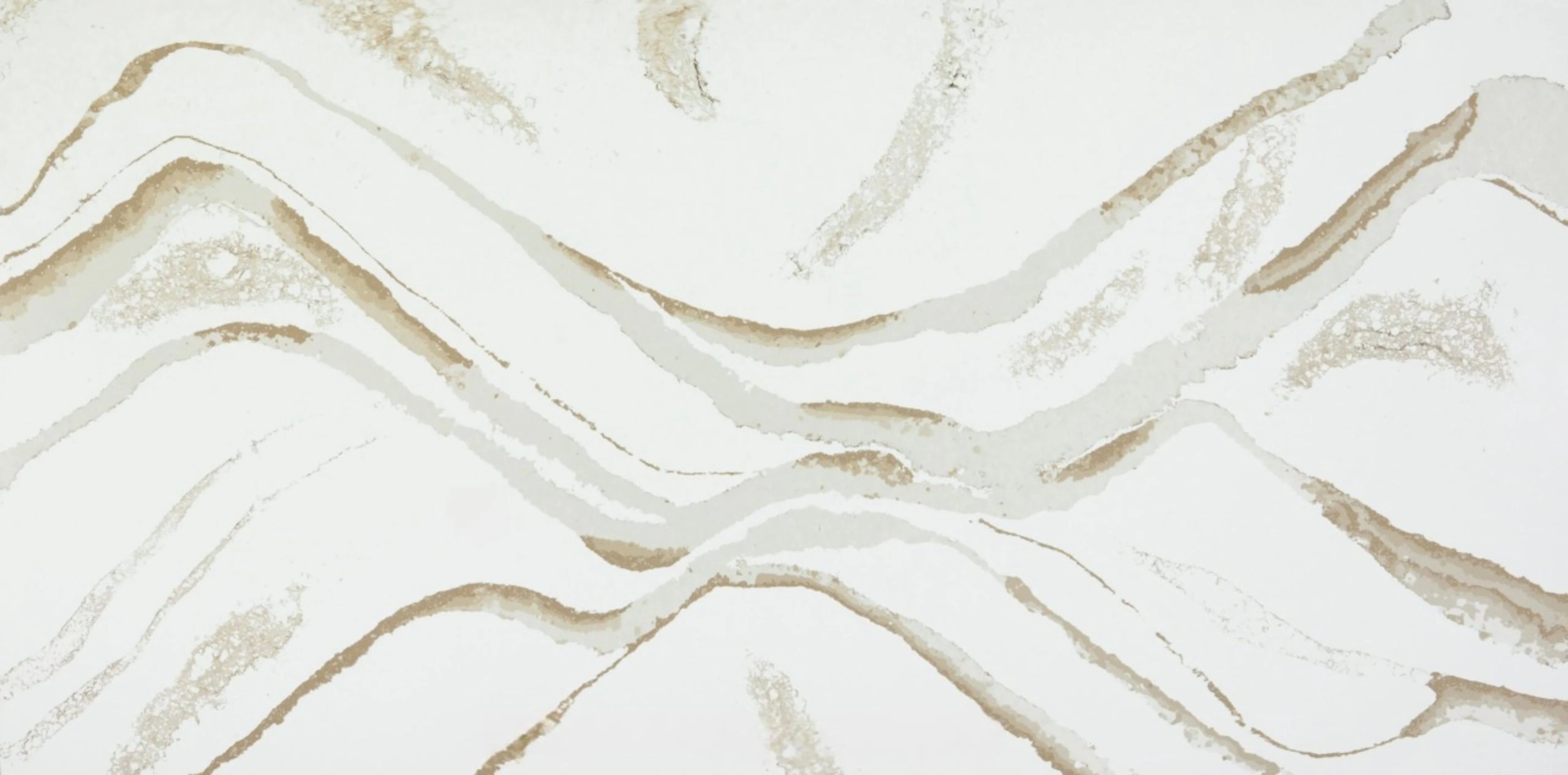 Sahara Gold — 100% scale reference