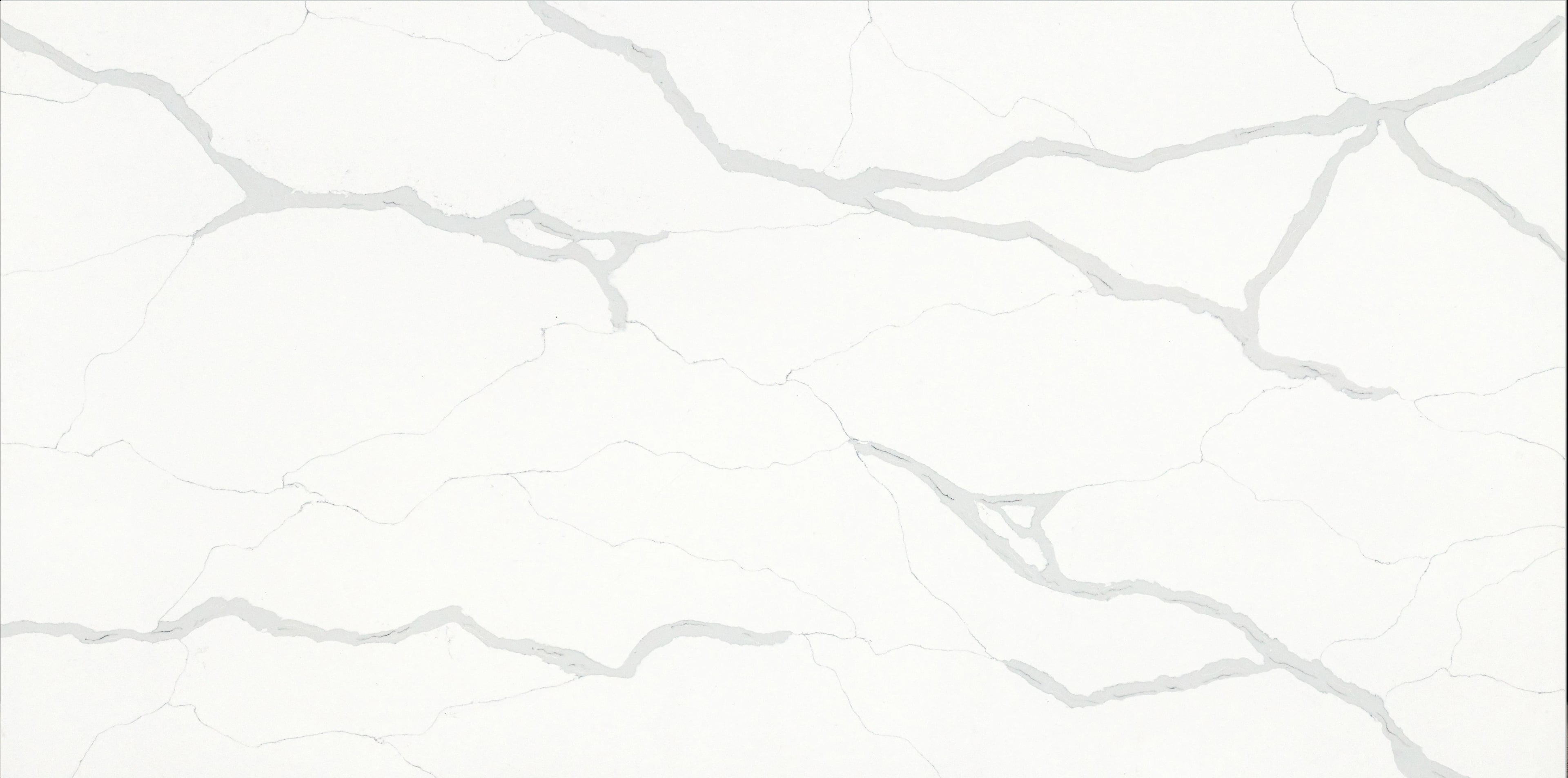 Statuario Intenso — 100% scale reference