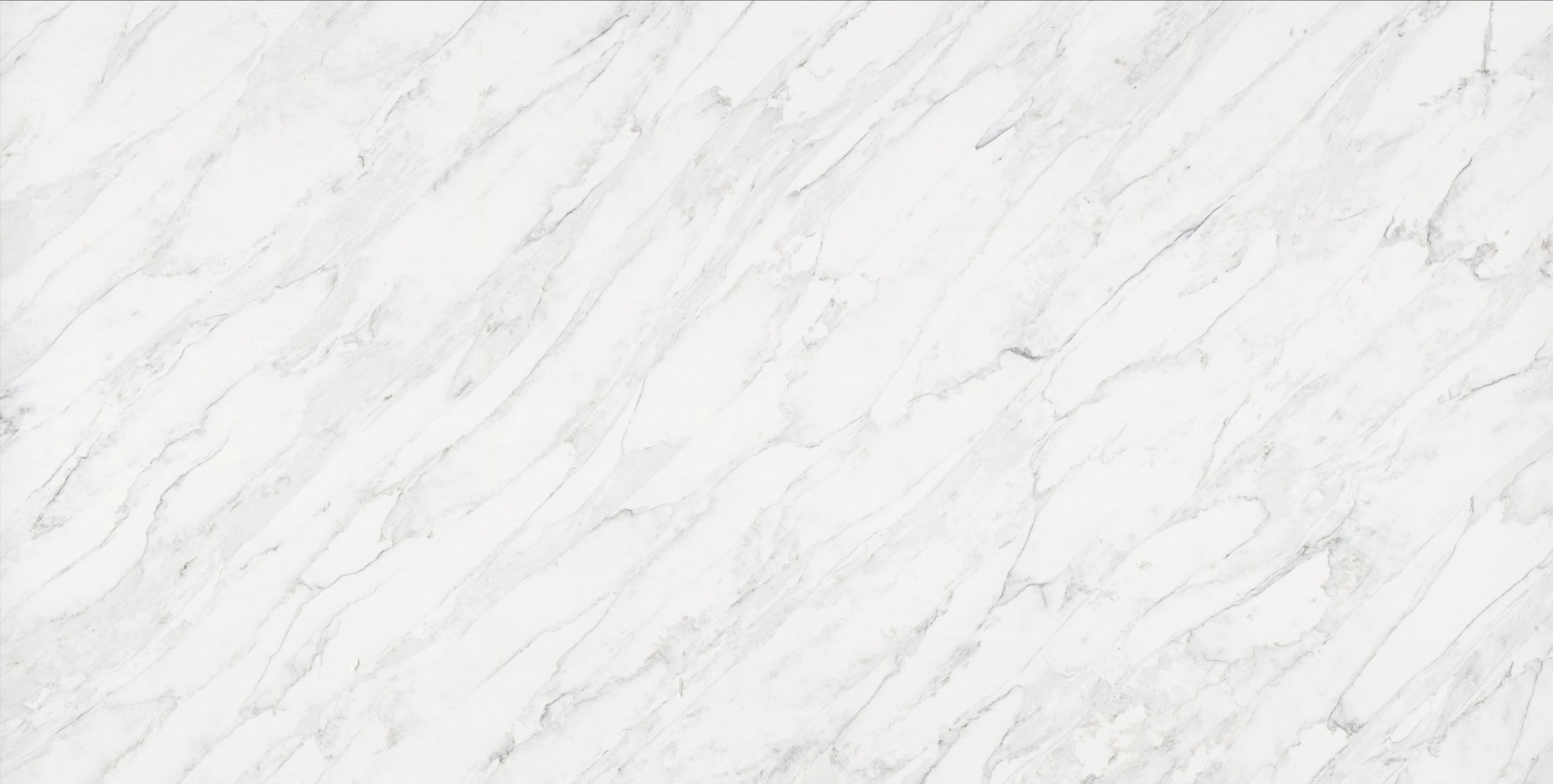 Arabescato Extra — 100% scale reference