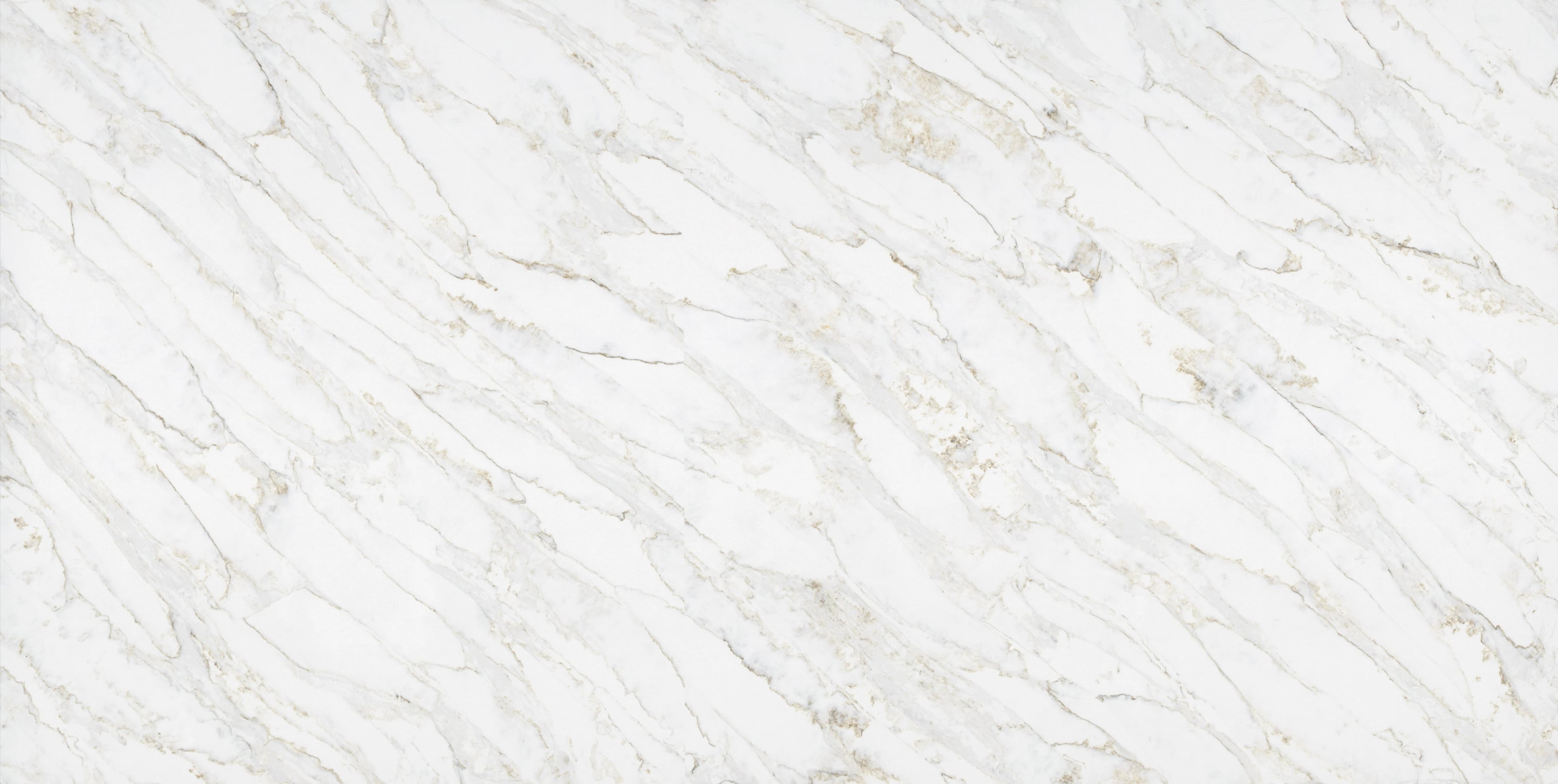 Calacatta Vecchia — 100% scale reference