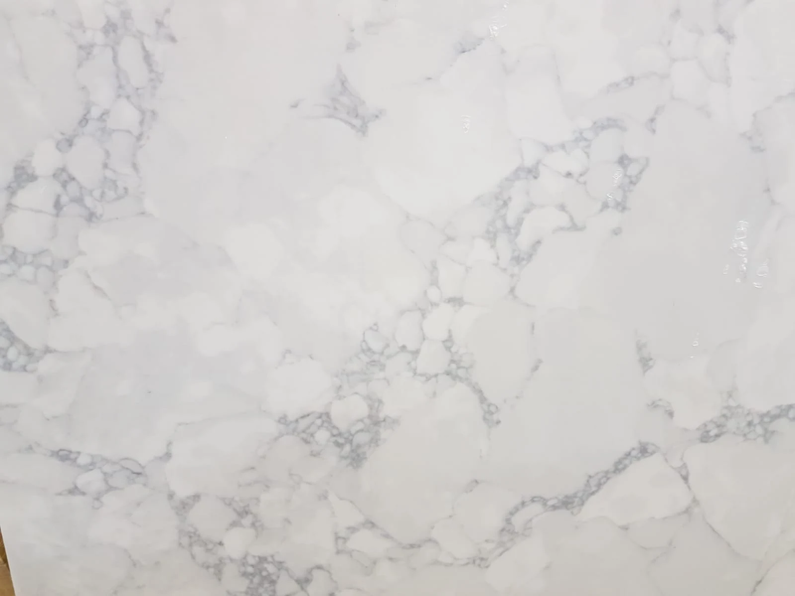 Fantastic White — 100% scale reference