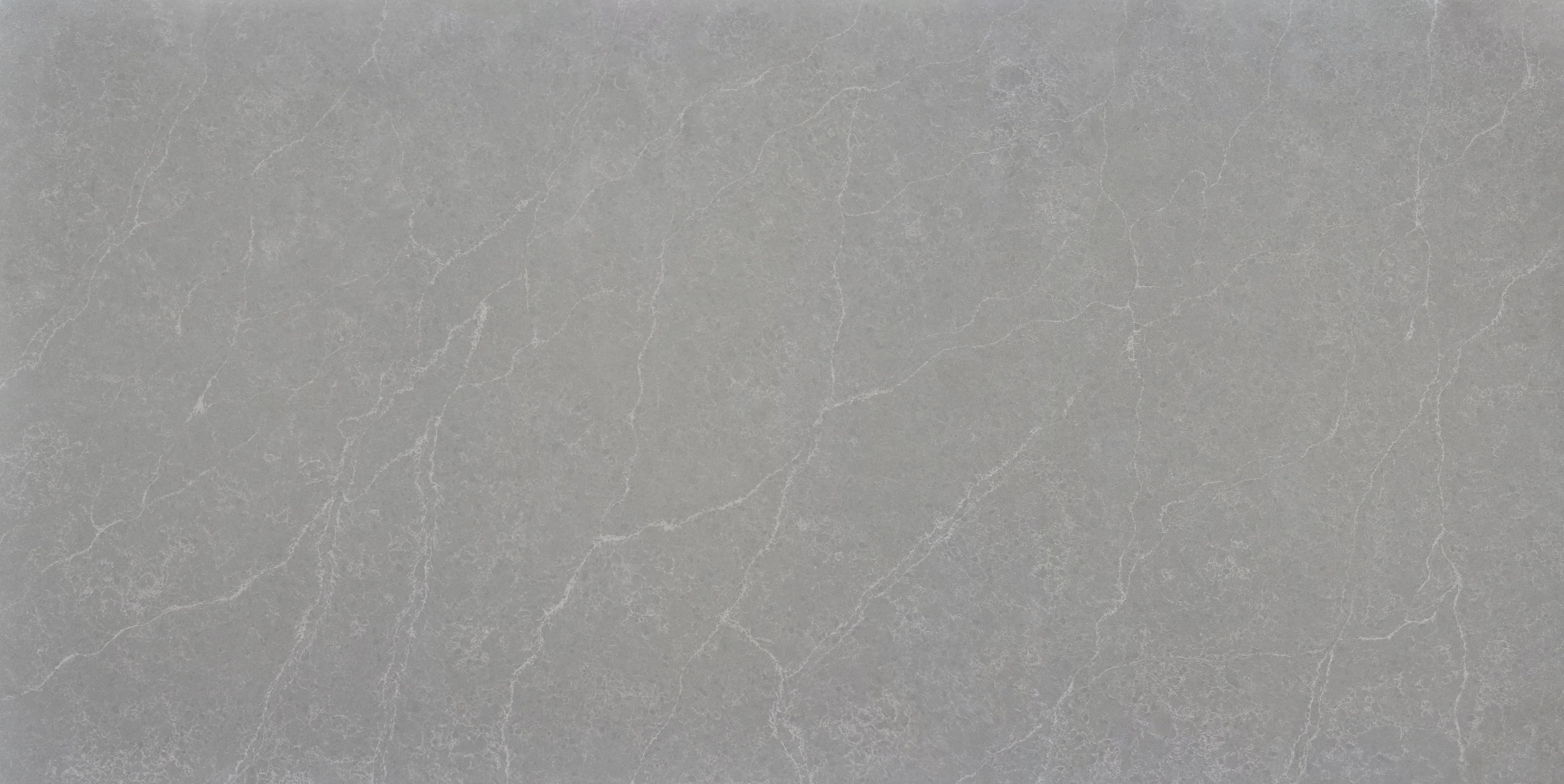 Fossil Grey — 100% scale reference
