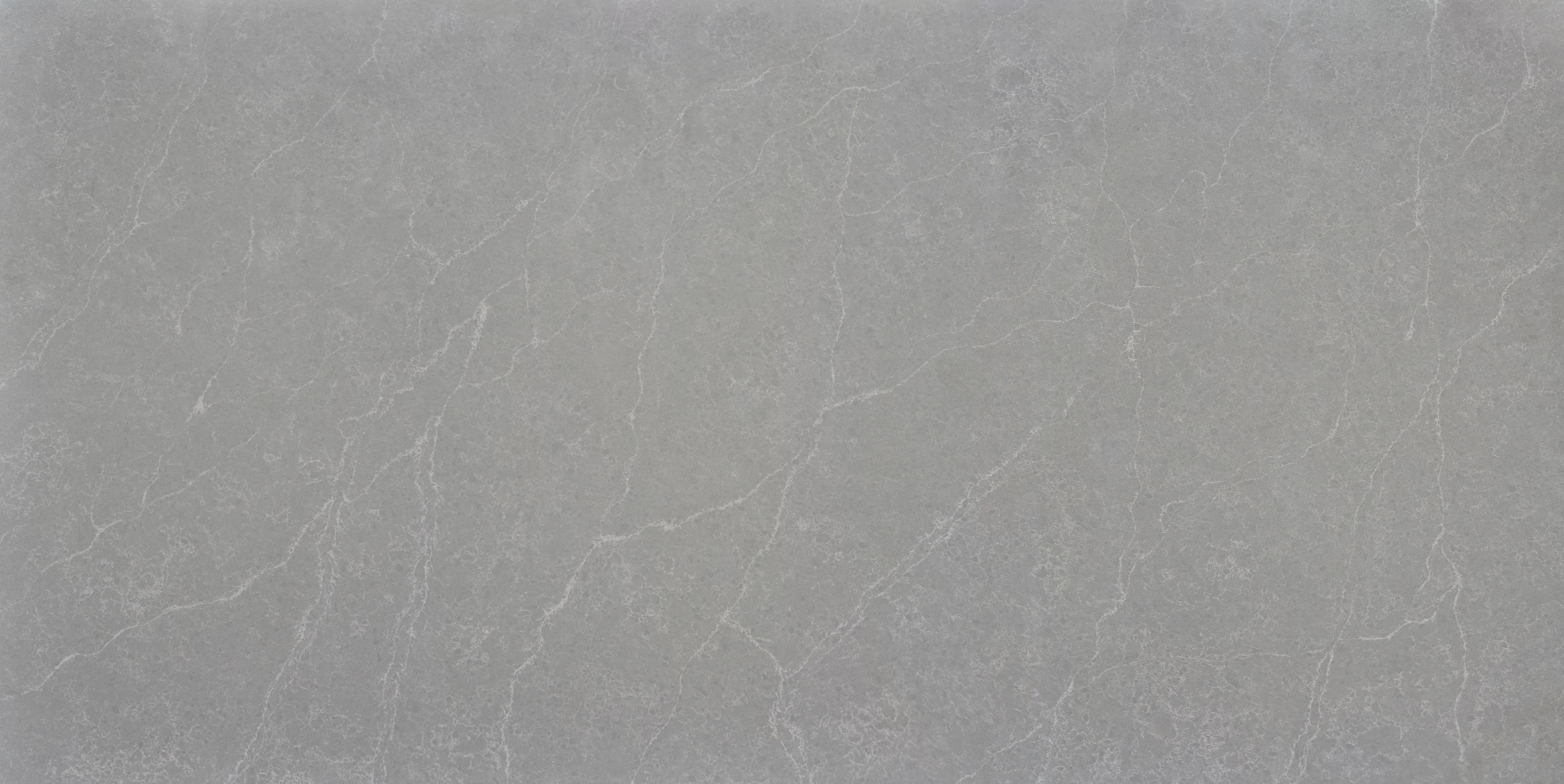 Fossil Grey