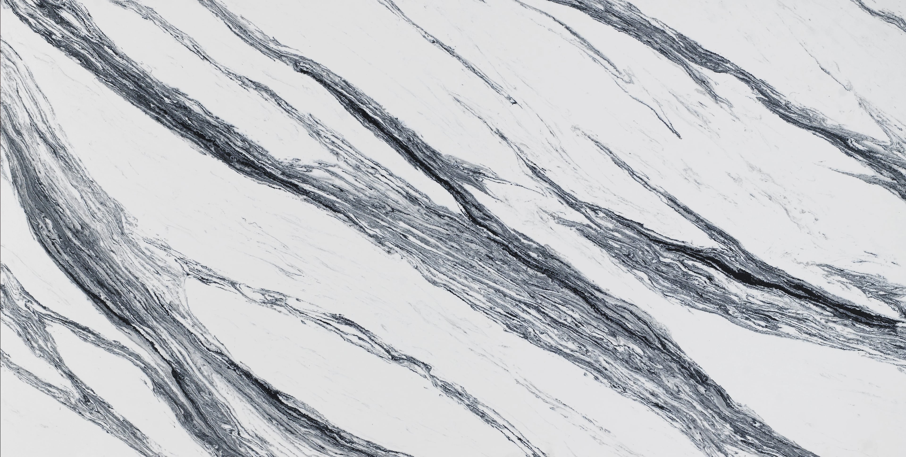 Panda — 100% scale reference