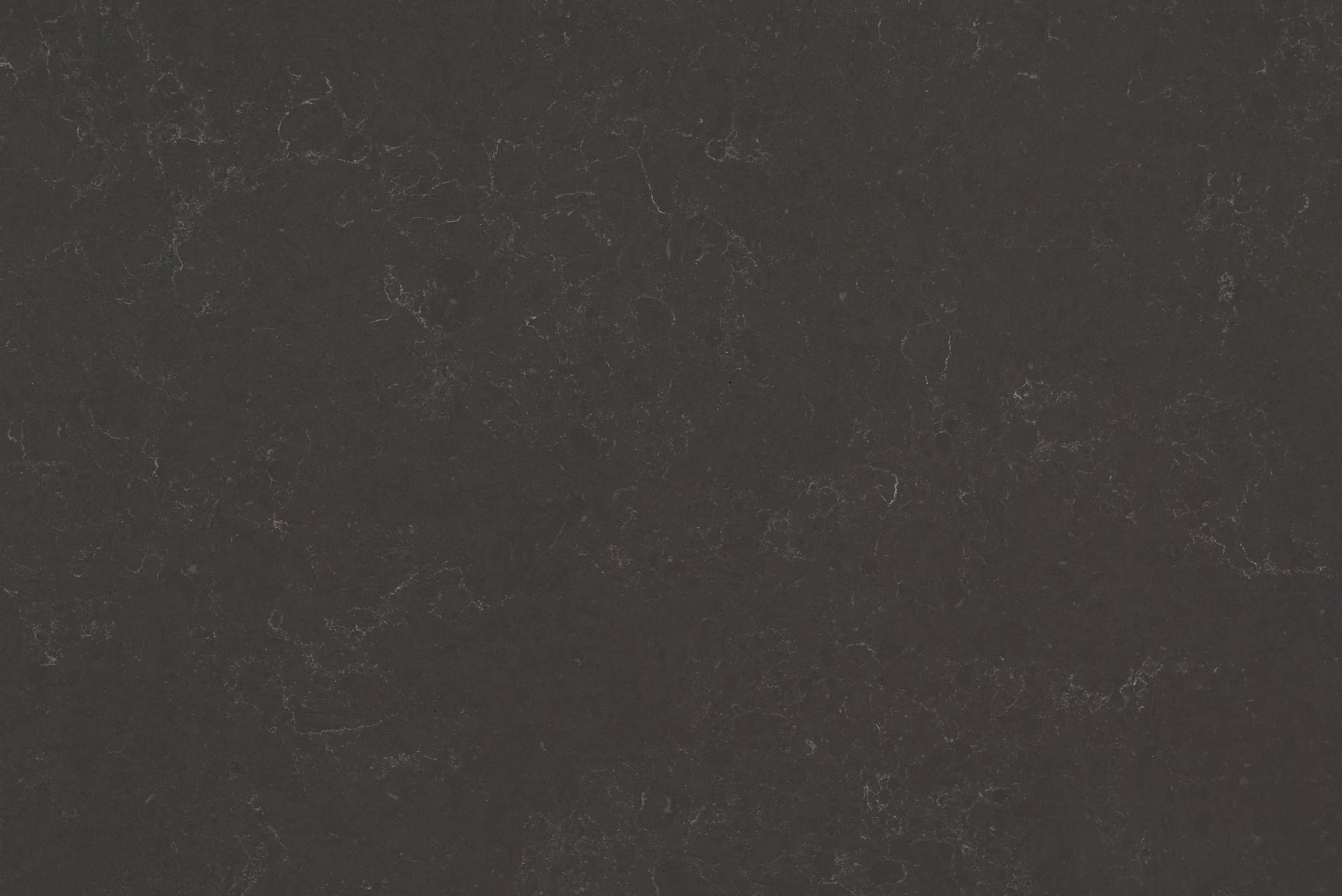 Pietra Grey — 100% scale reference