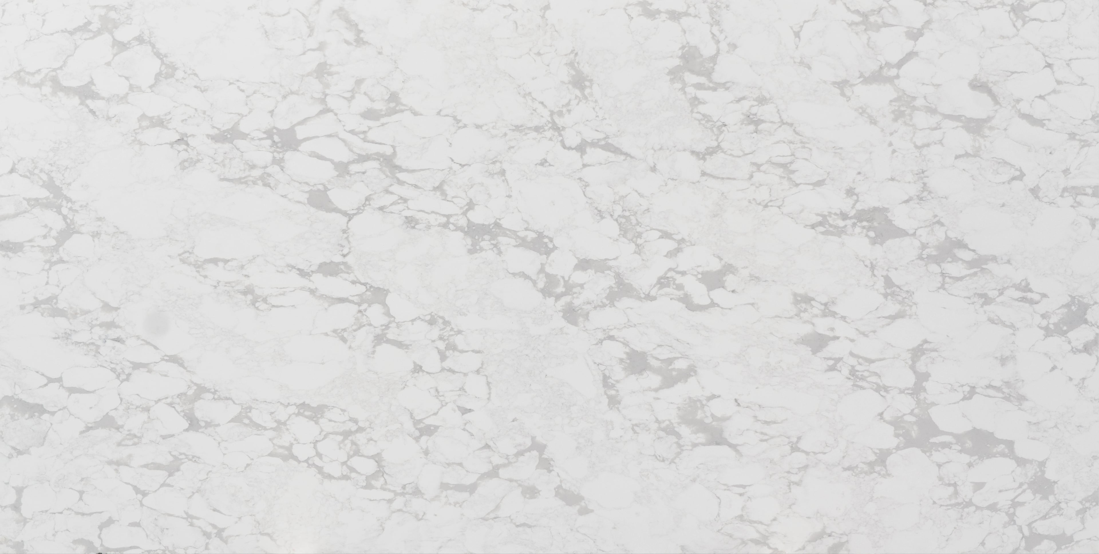 Polar — 100% scale reference