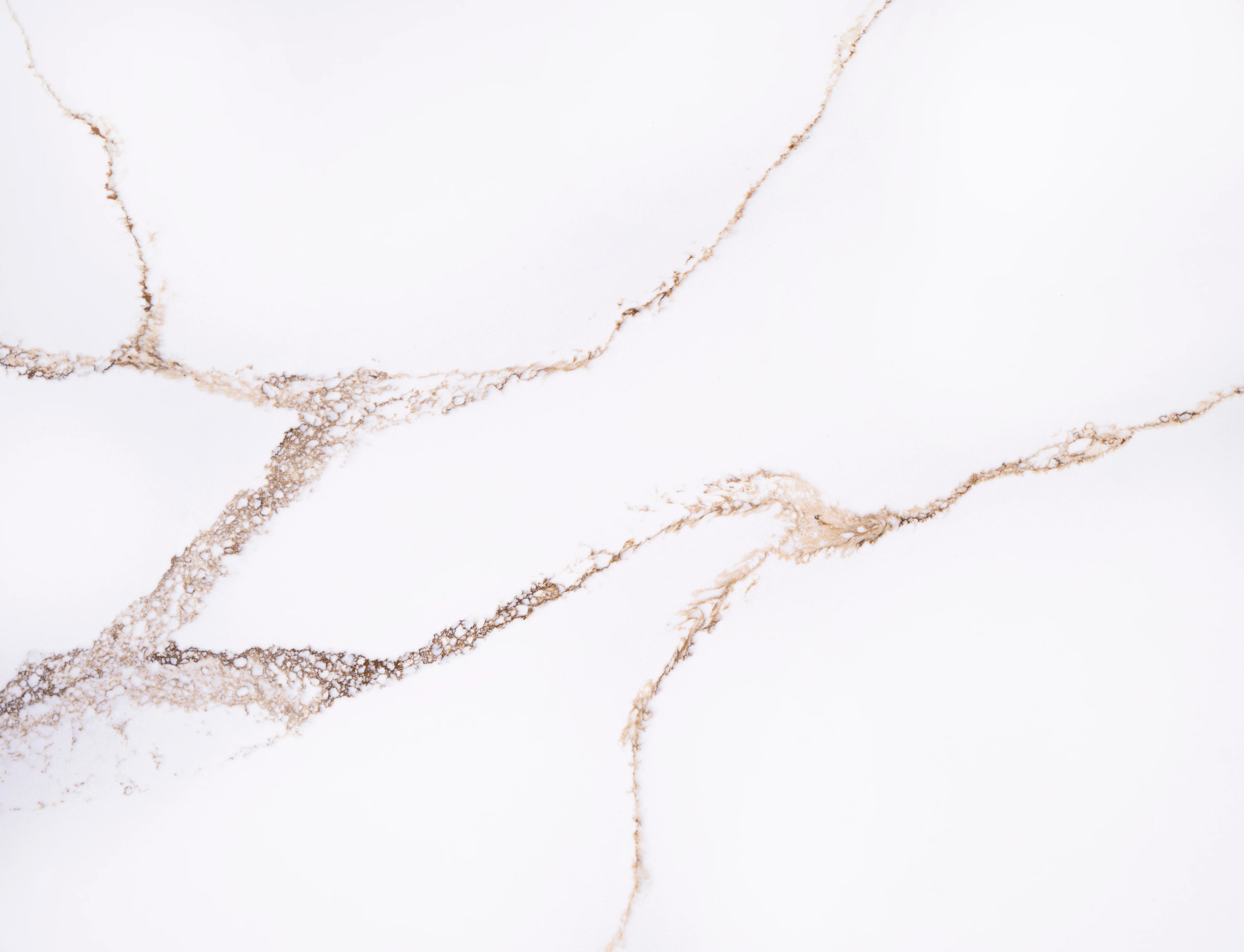 Serenity Gold — 100% scale reference