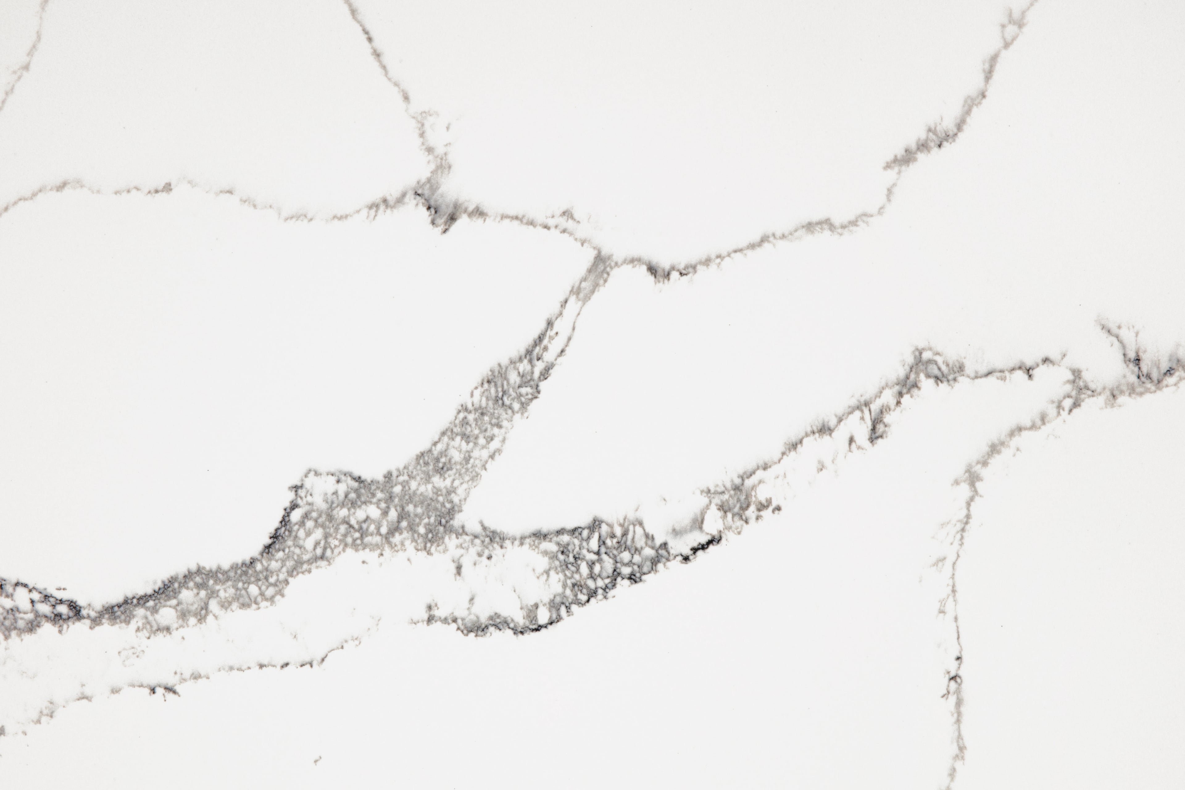 Tranquility White — 100% scale reference