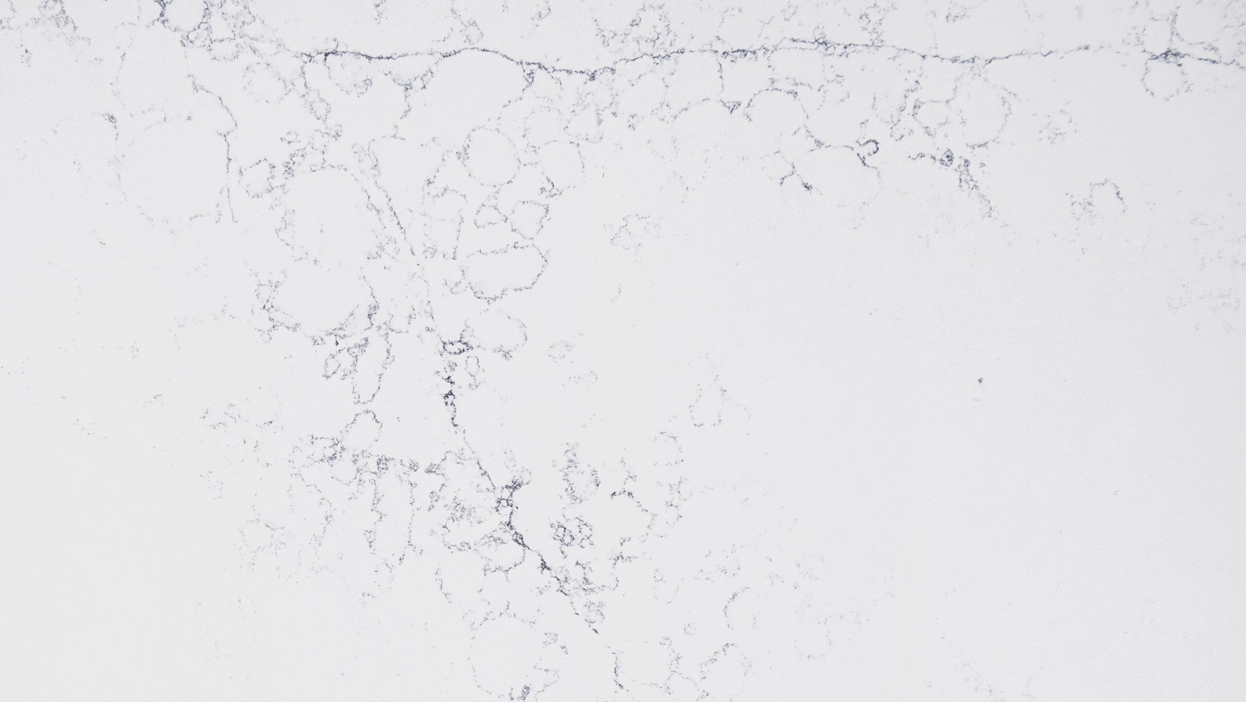 White Blossom — 100% scale reference