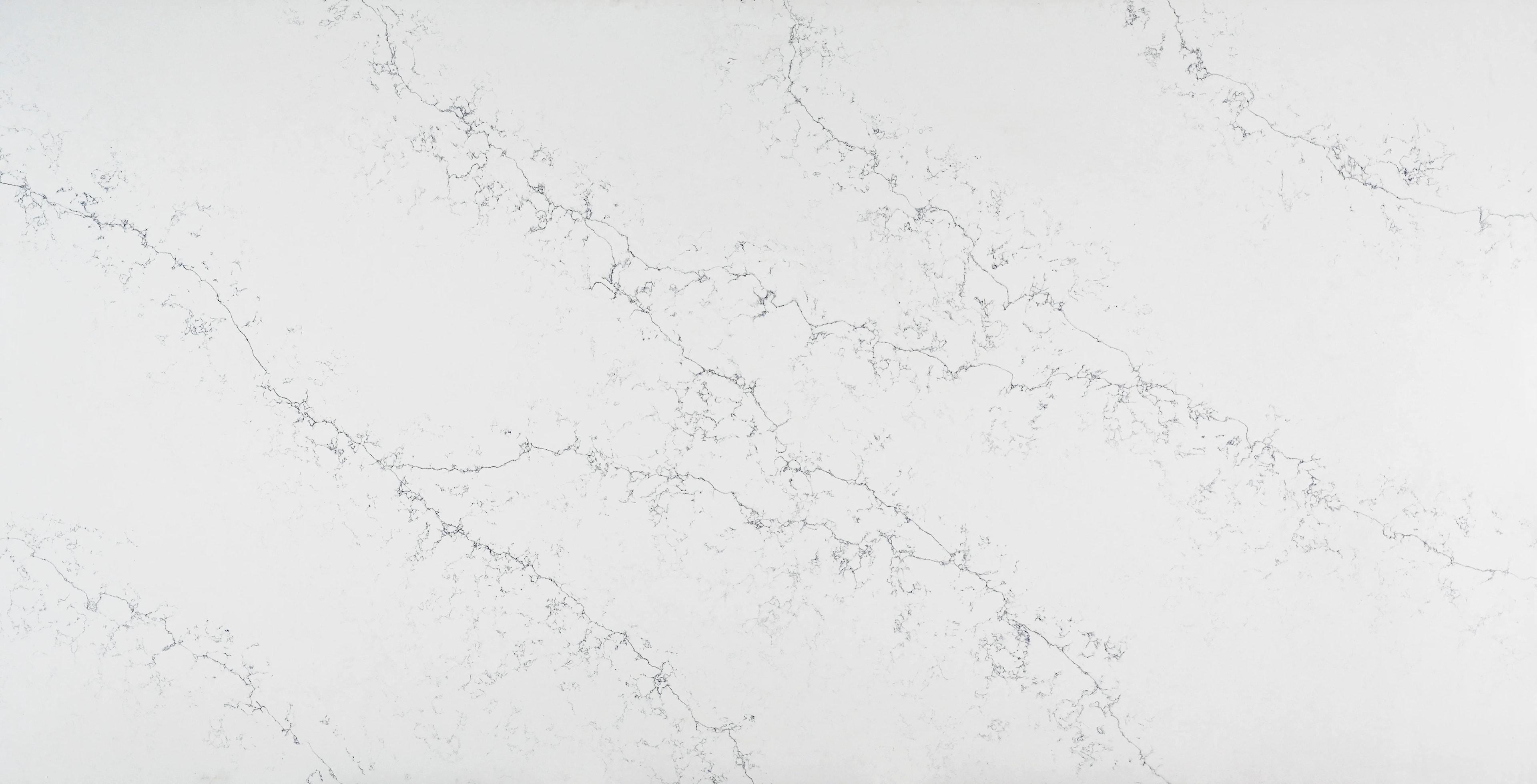 White Blossom