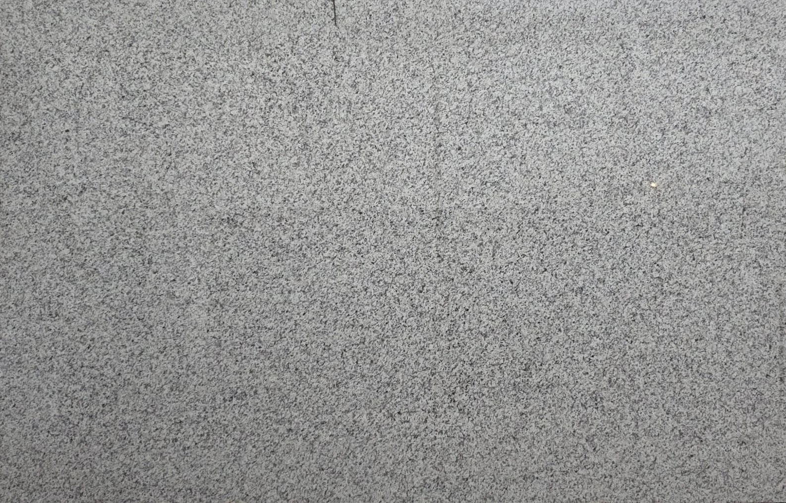 Bianco Sardo N — 100% scale reference