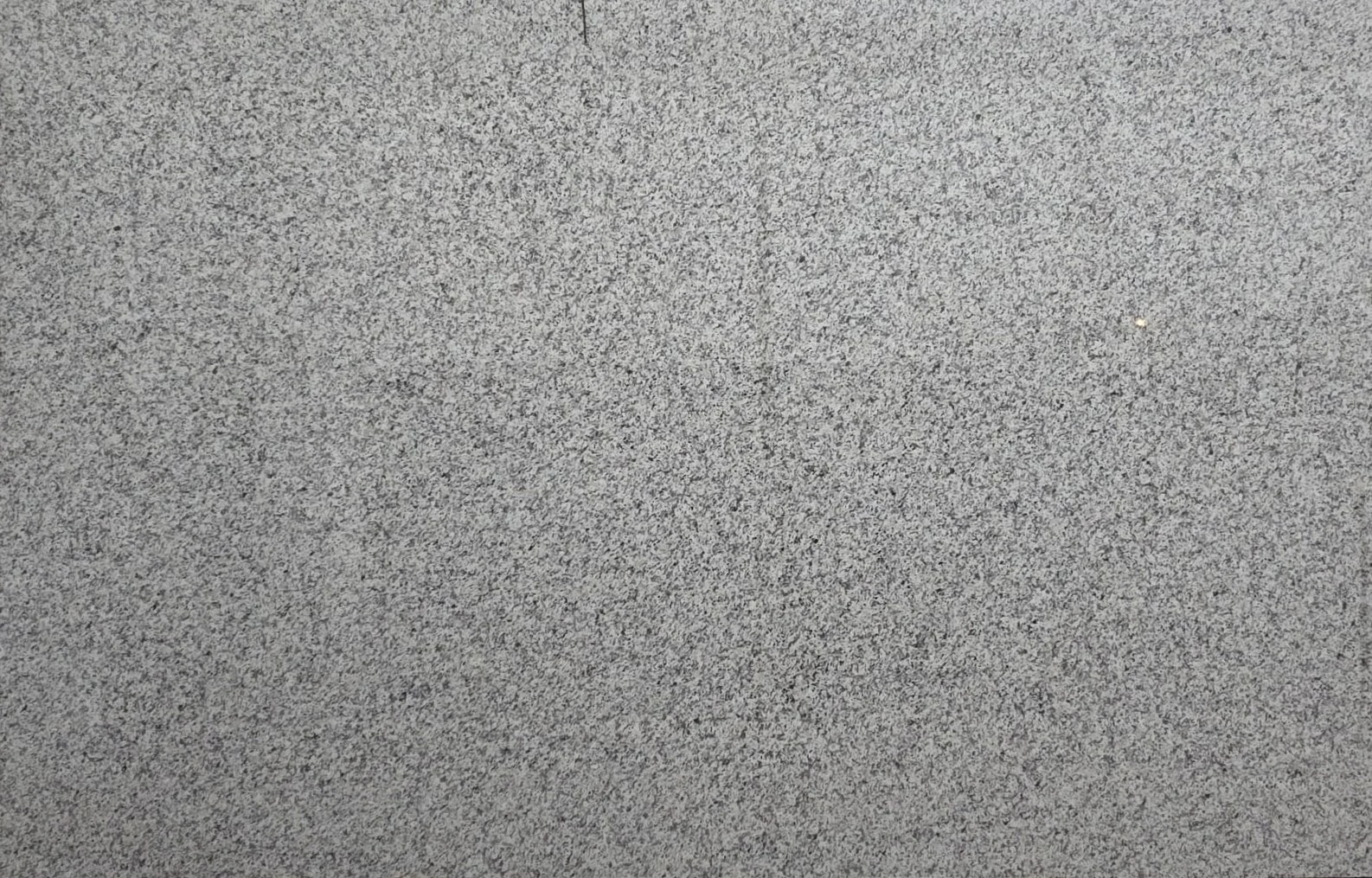 Bianco Sardo N