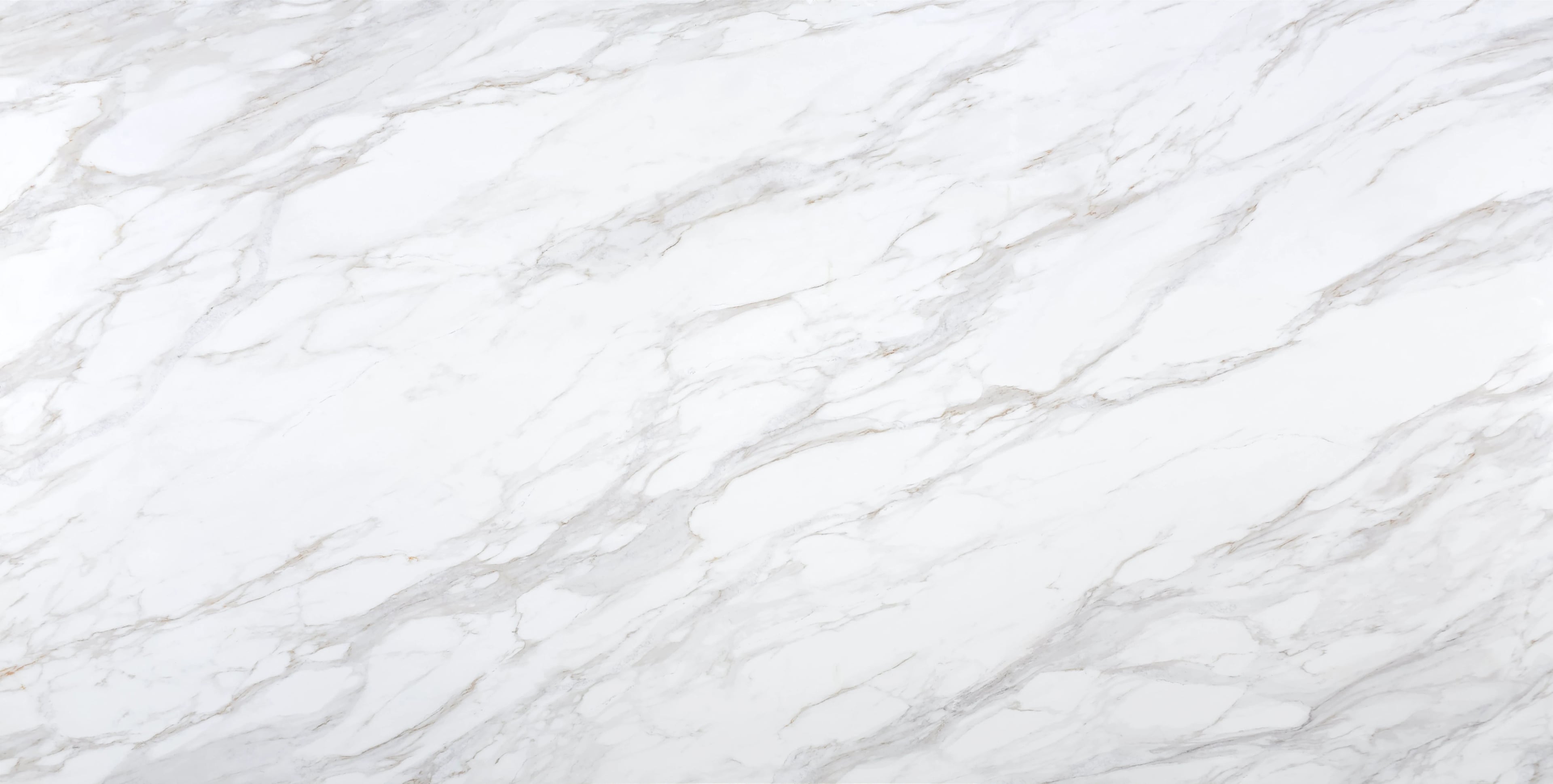 Calacatta Veneto — 100% scale reference