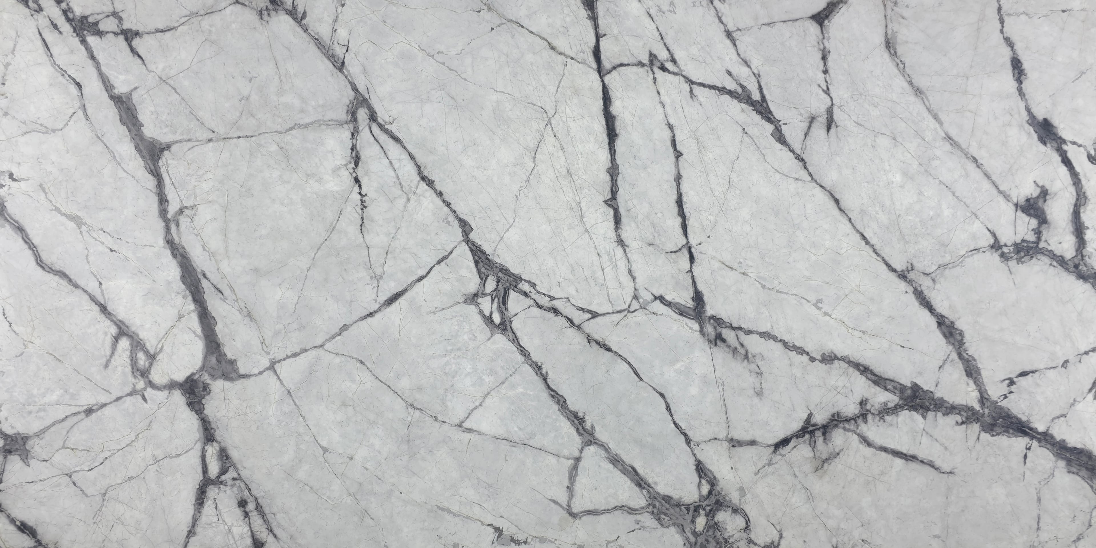 Ice Grey — 100% scale reference