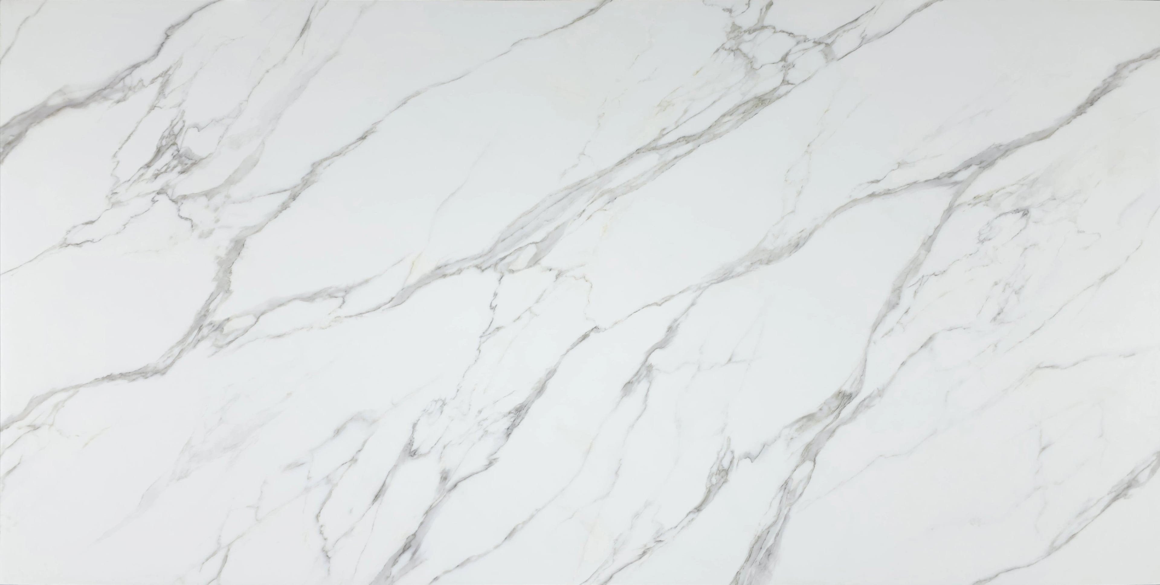 Statuario Bianca — 100% scale reference